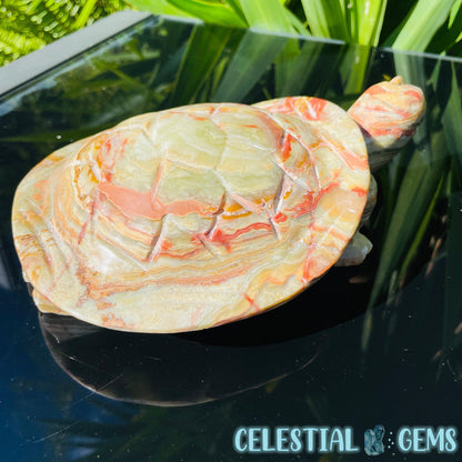 Banded Onyx Calcite Tortoise Large Carving