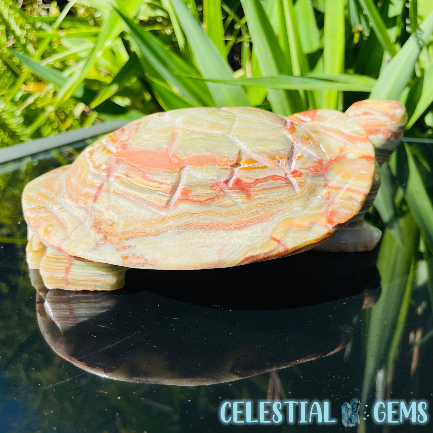 Banded Onyx Calcite Tortoise Large Carving