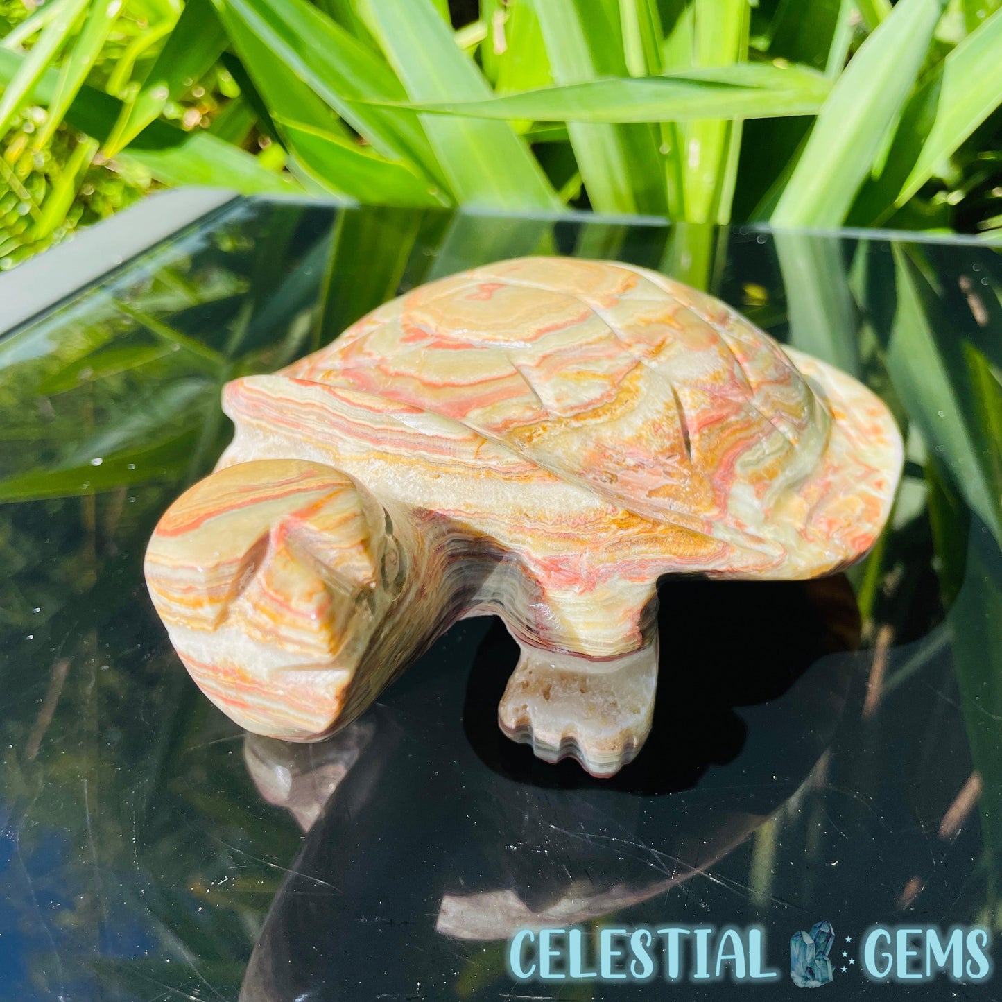 Banded Onyx Calcite Tortoise Large Carving