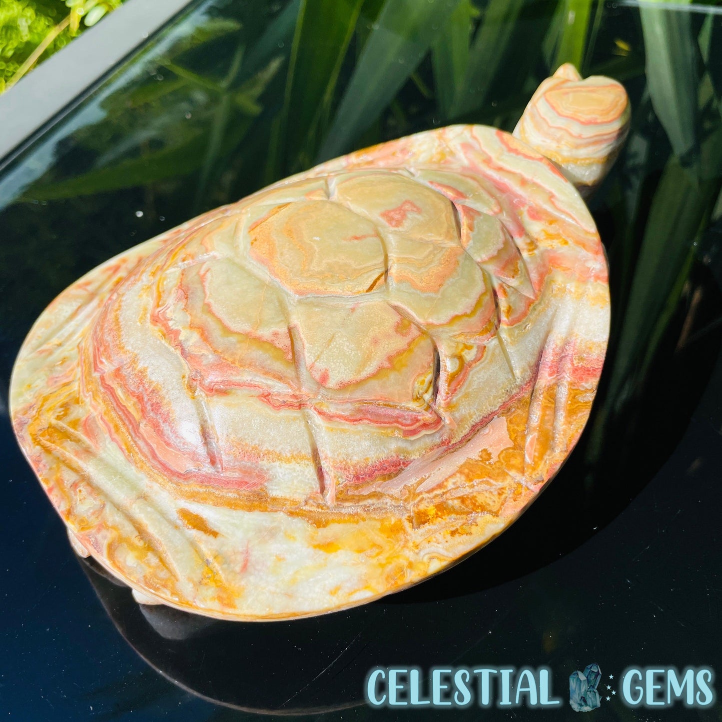 Banded Onyx Calcite Tortoise Large Carving