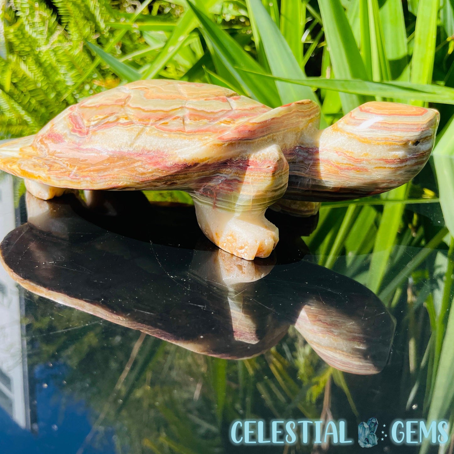 Banded Onyx Calcite Tortoise Large Carving