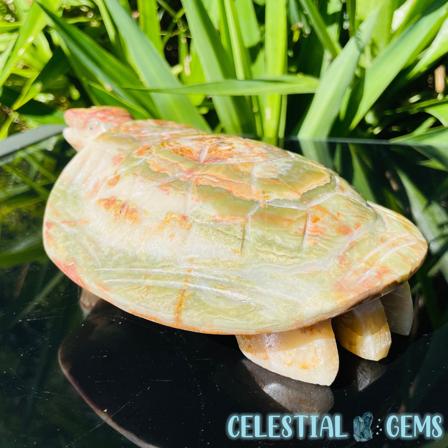 Banded Onyx Calcite Tortoise Large Carving