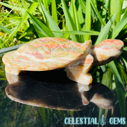 Banded Onyx Calcite Tortoise Large Carving