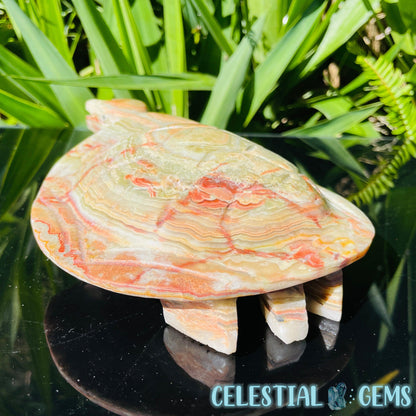 Banded Onyx Calcite Tortoise Large Carving