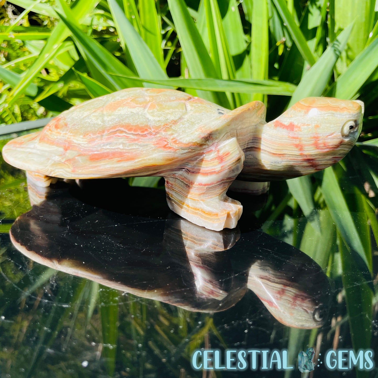 Banded Onyx Calcite Tortoise Large Carving