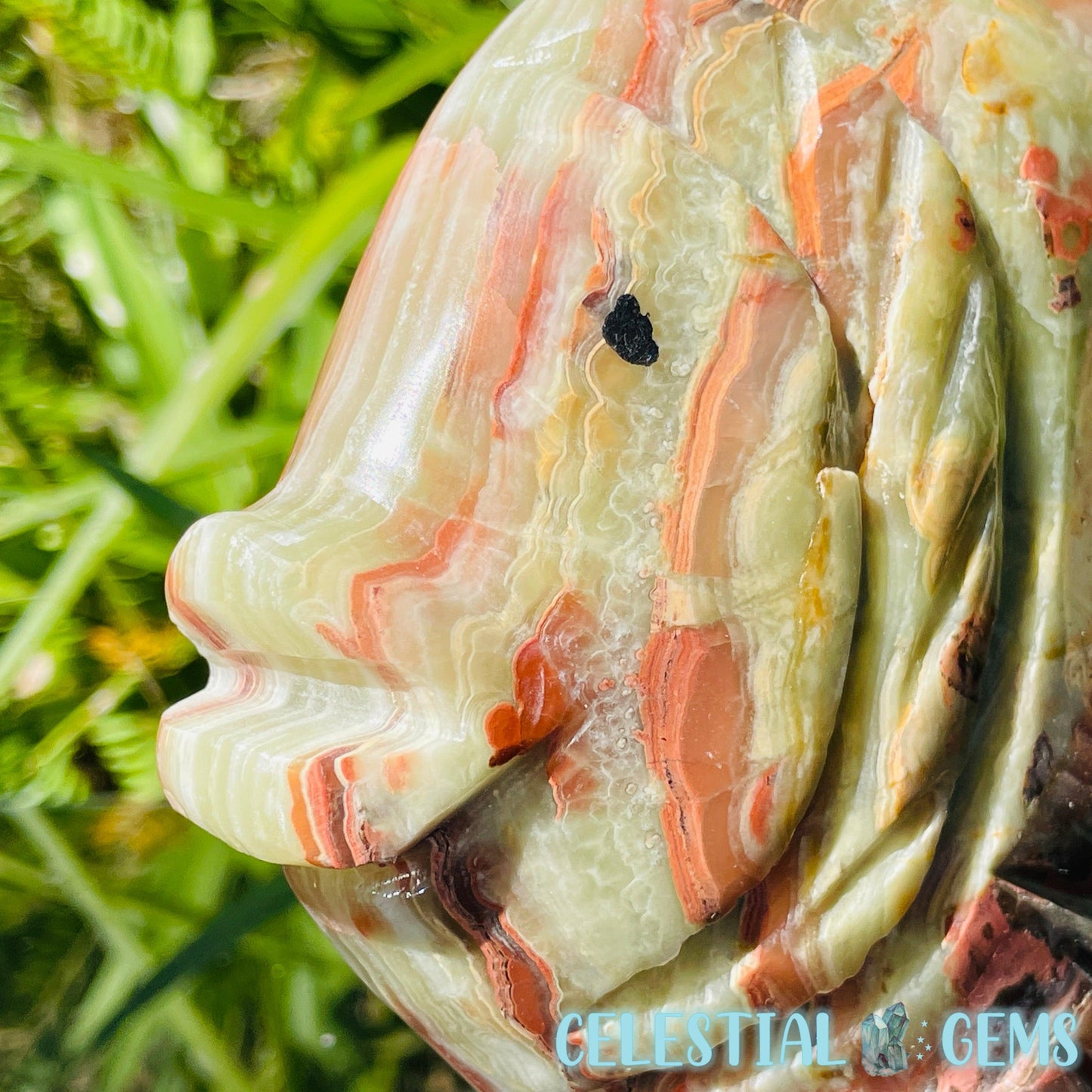 Banded Onyx Calcite Fish Large Carving