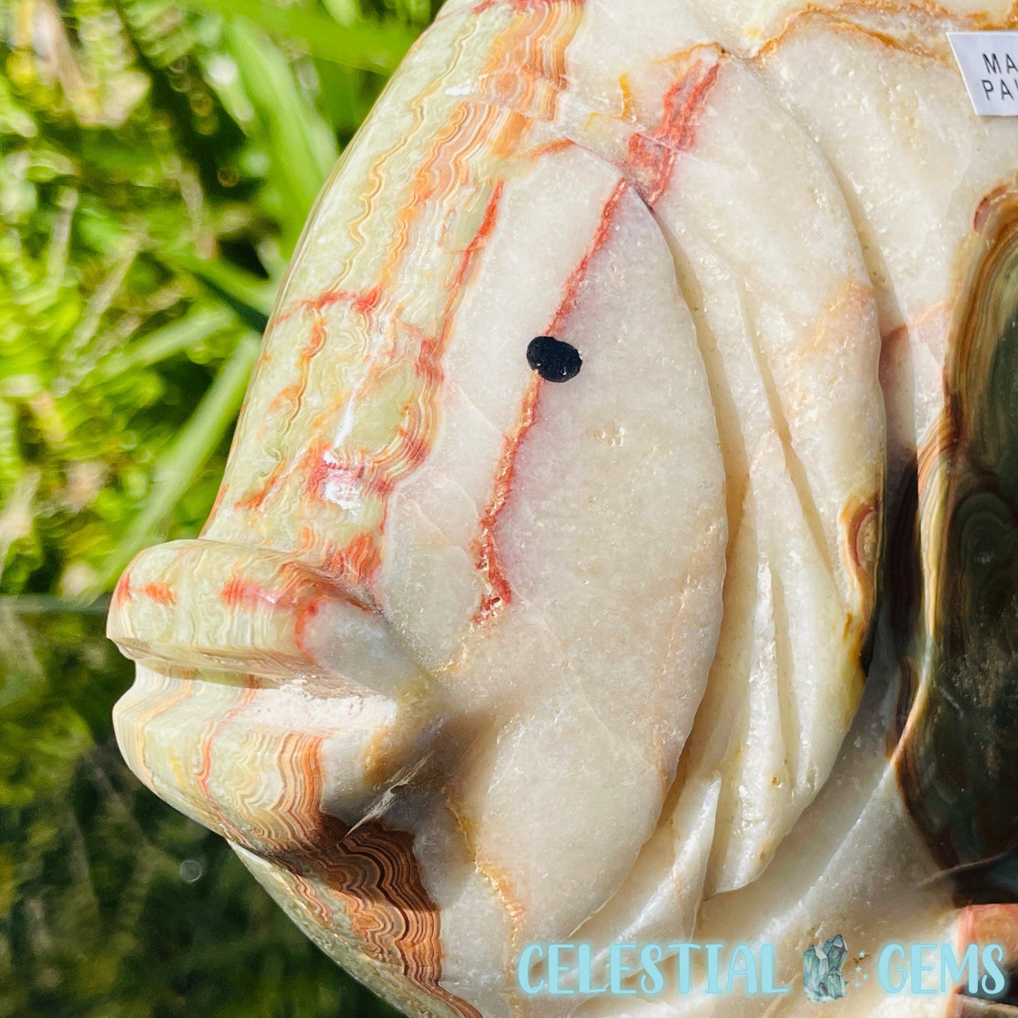 Banded Onyx Calcite Fish Large Carving