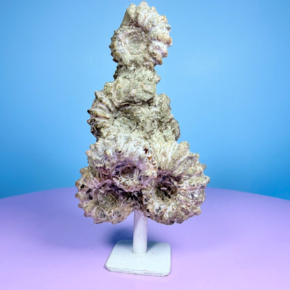 Ammonite Fossil Cluster Sculpture on Stand