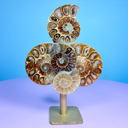 Polished Ammonite Fossil Cluster Sculpture on Stand