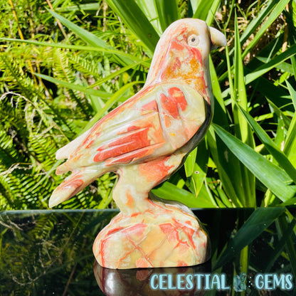 Banded Onyx Calcite Bird Large Carving