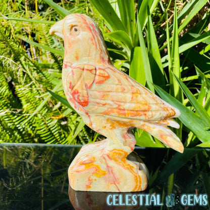 Banded Onyx Calcite Bird Large Carving