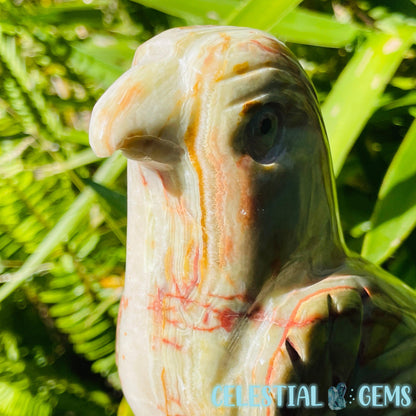 Banded Onyx Calcite Bird Large Carving