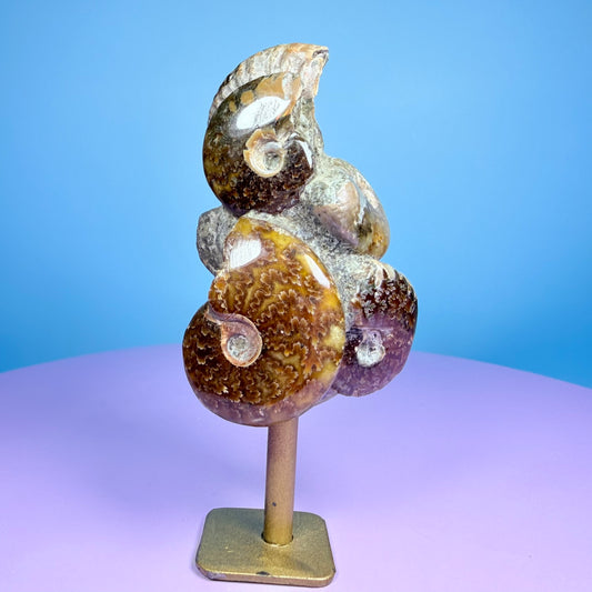 Polished Ammonite Fossil Cluster Sculpture on Stand