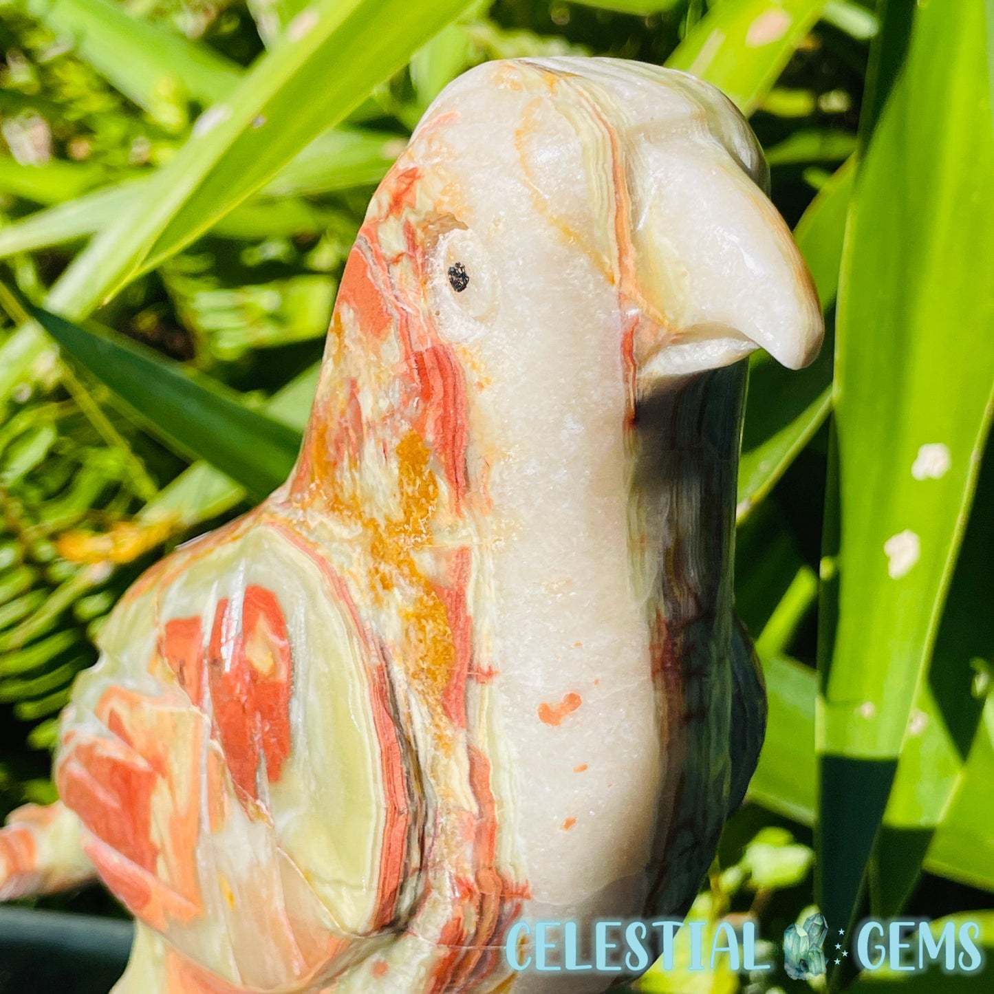 Banded Onyx Calcite Bird Large Carving