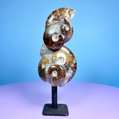 Polished Ammonite Fossil Cluster Sculpture on Stand