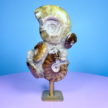 Polished Ammonite Fossil Cluster Sculpture on Stand