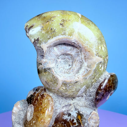 Polished Ammonite Fossil Cluster Sculpture on Stand
