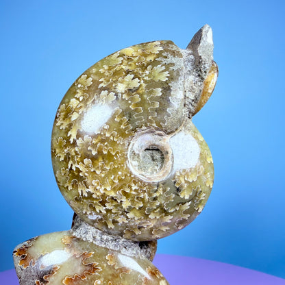 Polished Ammonite Fossil Cluster Sculpture on Stand