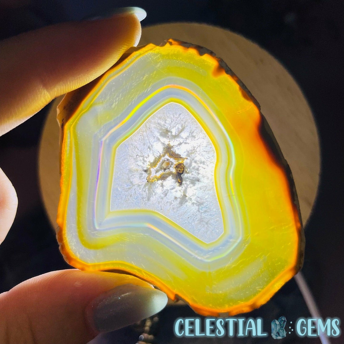 RARE Iris Agate Slice Specimen 3 (Rainbow Iridescense!)