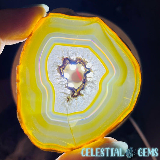 RARE Iris Agate Slice Specimen 5 (Rainbow Iridescense!)