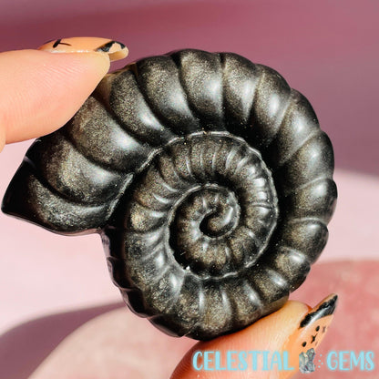 Ammonite Shell Medium Crystal Carving