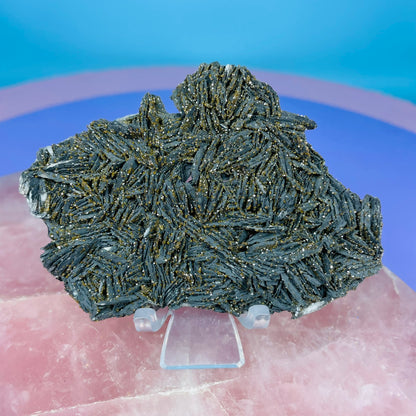 Black Barite Small Cluster Plate with Vanadinite Sparkles