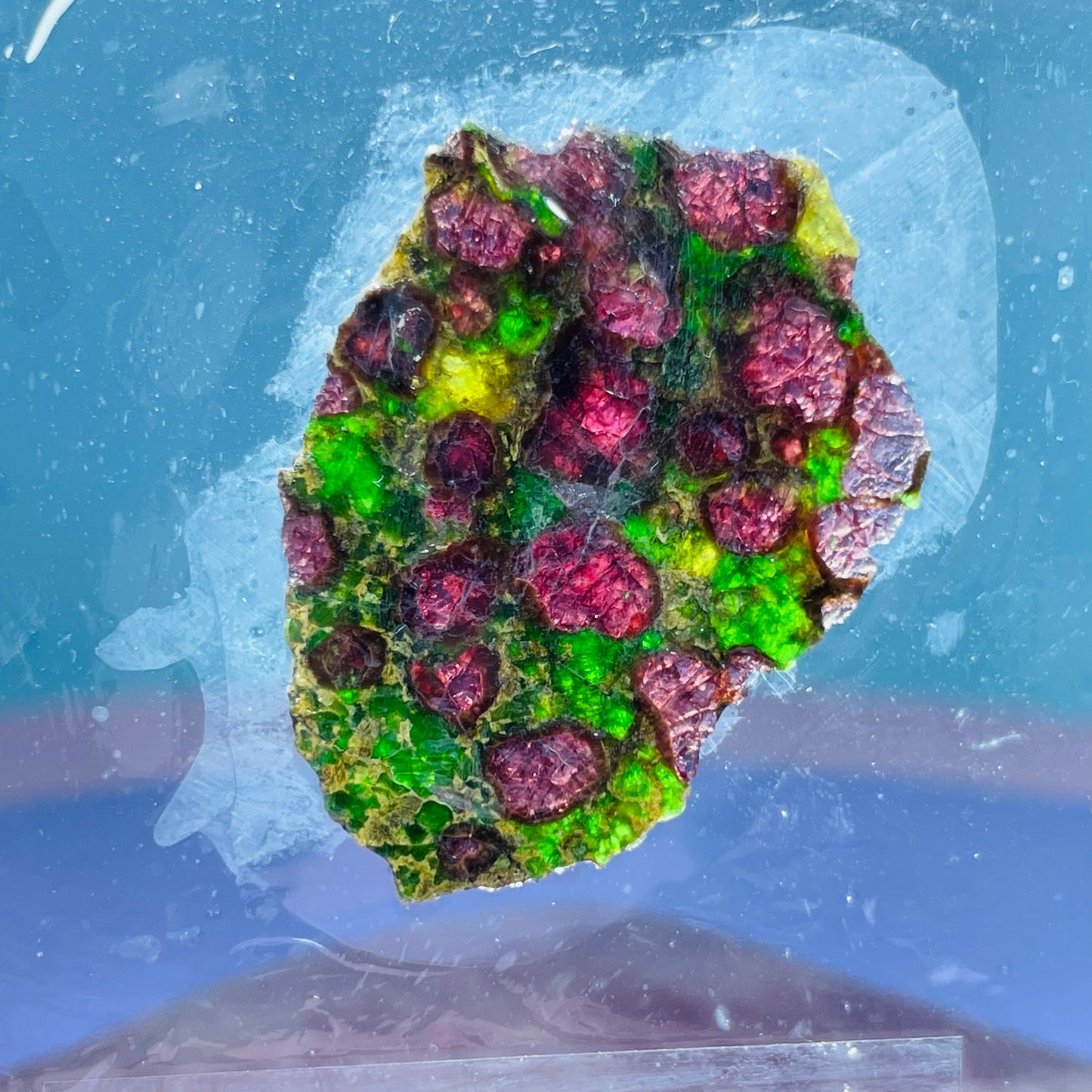 Rare Pyrope, Chrome Diopside + Enstatite Slice Specimen in Frame