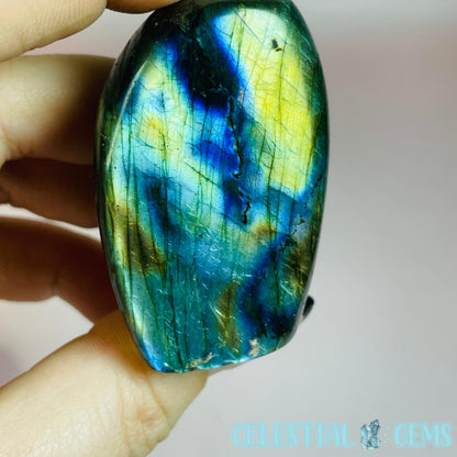 Labradorite Small Freeform (Grade B)