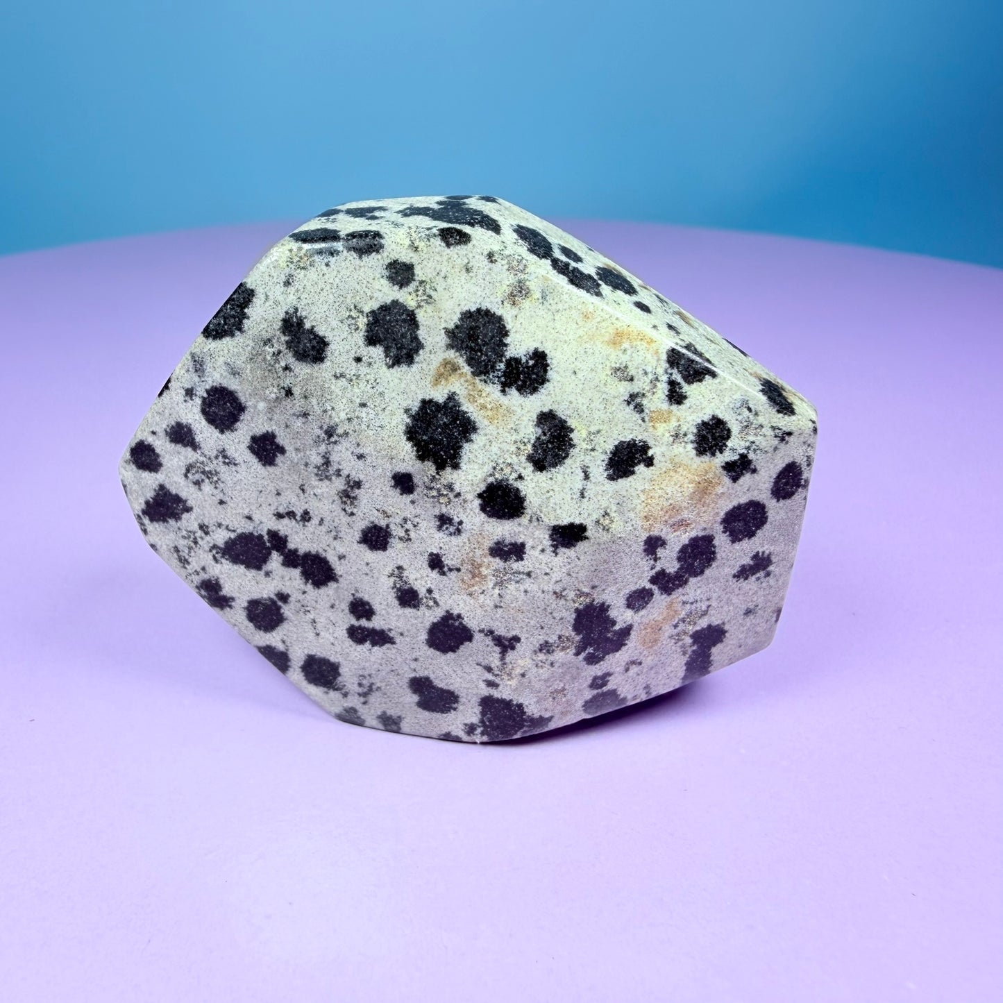 Dalmatian Jasper Small Freeform