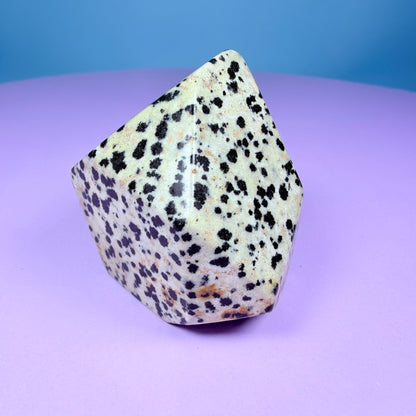 Dalmatian Jasper Small Freeform