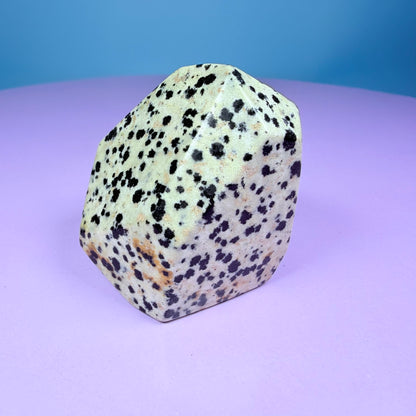Dalmatian Jasper Small Freeform
