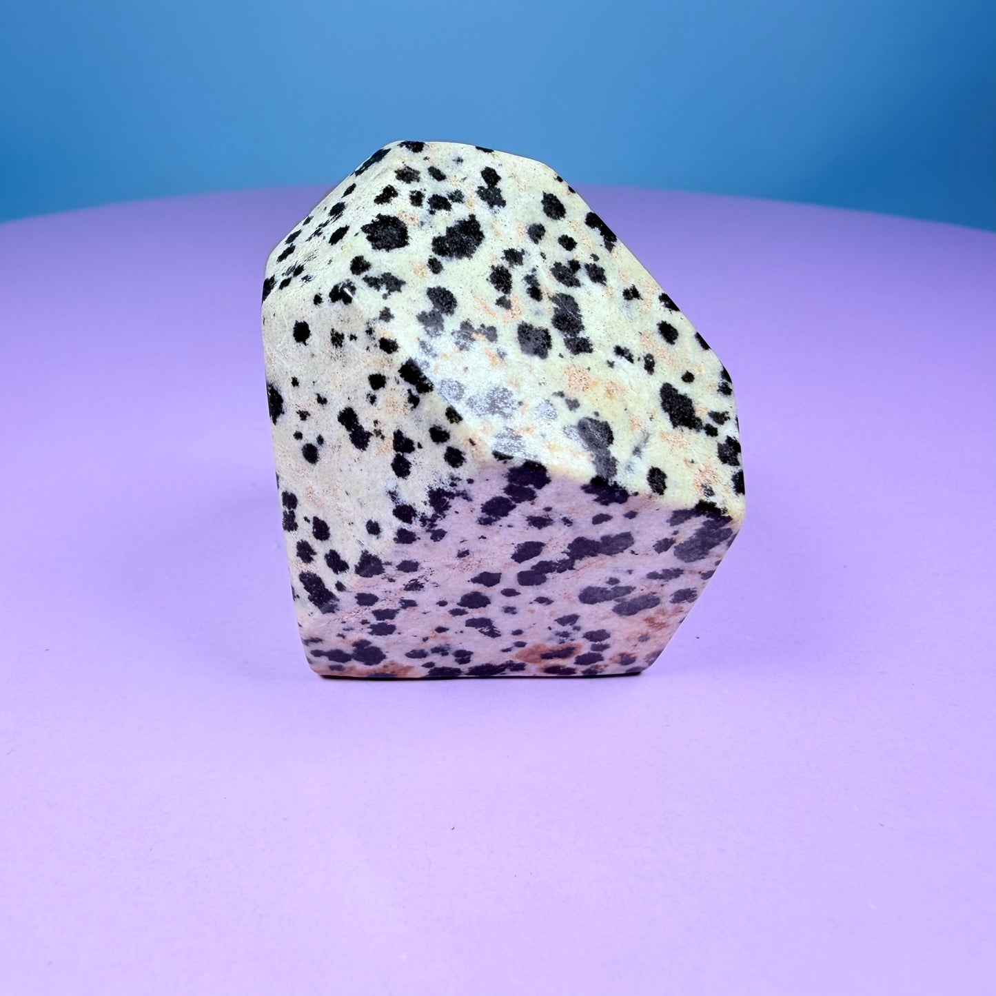 Dalmatian Jasper Small Freeform