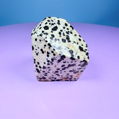 Dalmatian Jasper Small Freeform
