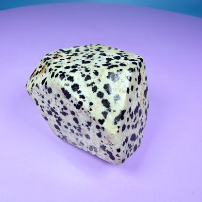 Dalmatian Jasper Small Freeform