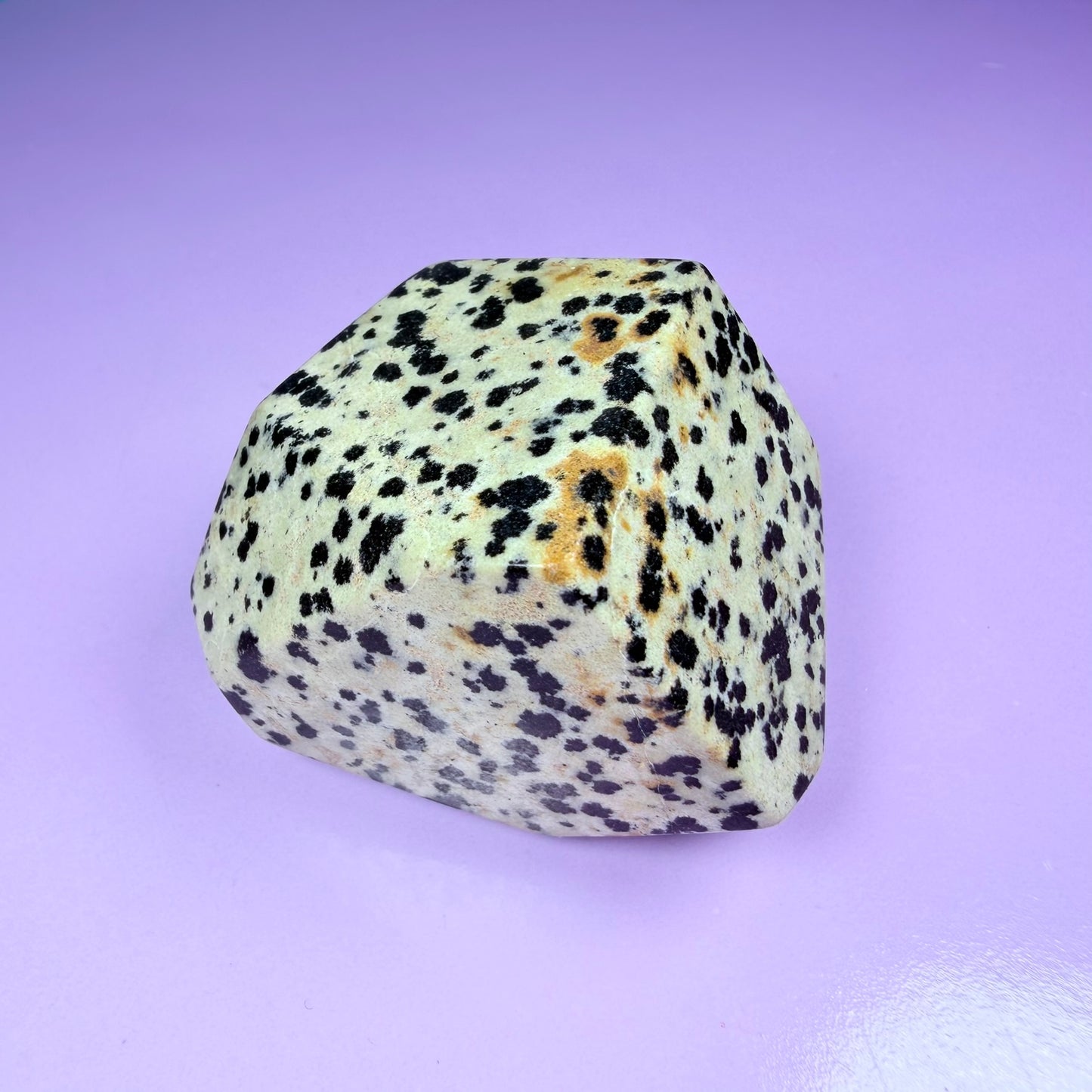 Dalmatian Jasper Small Freeform