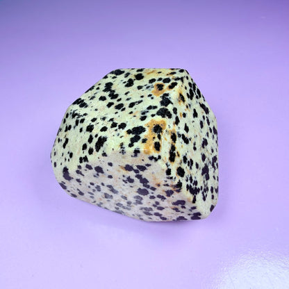 Dalmatian Jasper Small Freeform