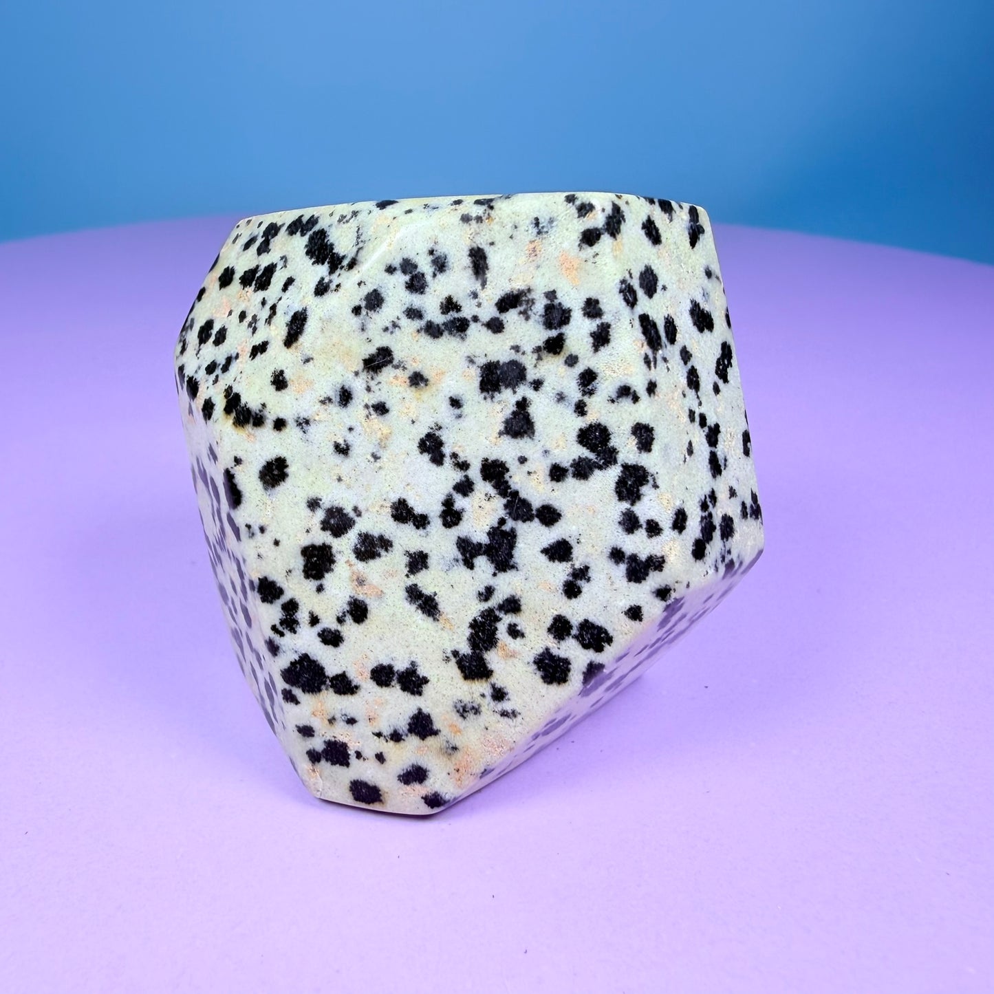Dalmatian Jasper Small Freeform