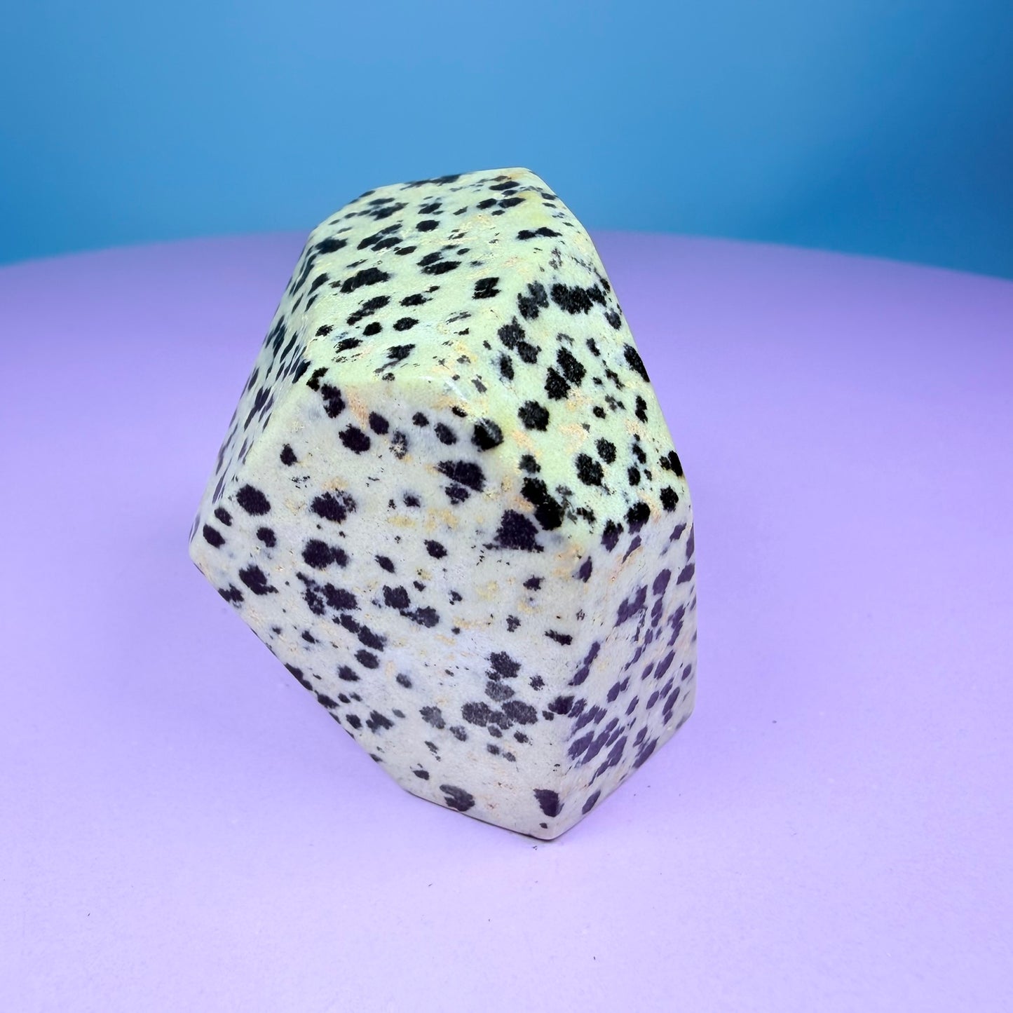 Dalmatian Jasper Small Freeform