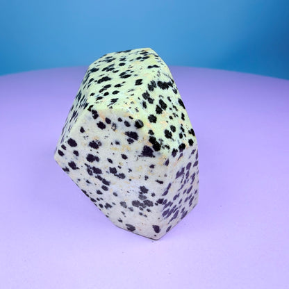 Dalmatian Jasper Small Freeform