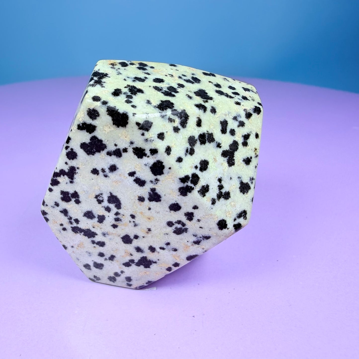 Dalmatian Jasper Small Freeform