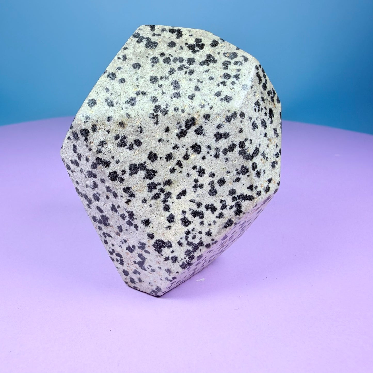 Dalmatian Jasper Medium Freeform