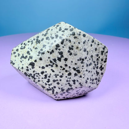 Dalmatian Jasper Medium Freeform