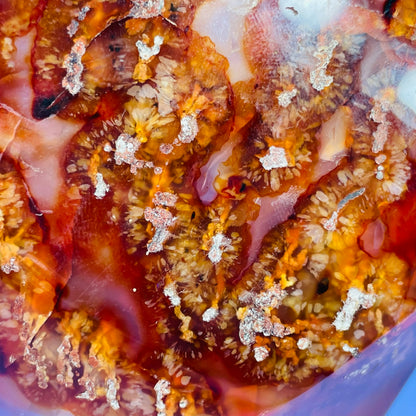 Carnelian Agate Extra Large XL Flame Freeform