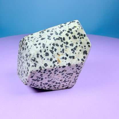 Dalmatian Jasper Medium Freeform