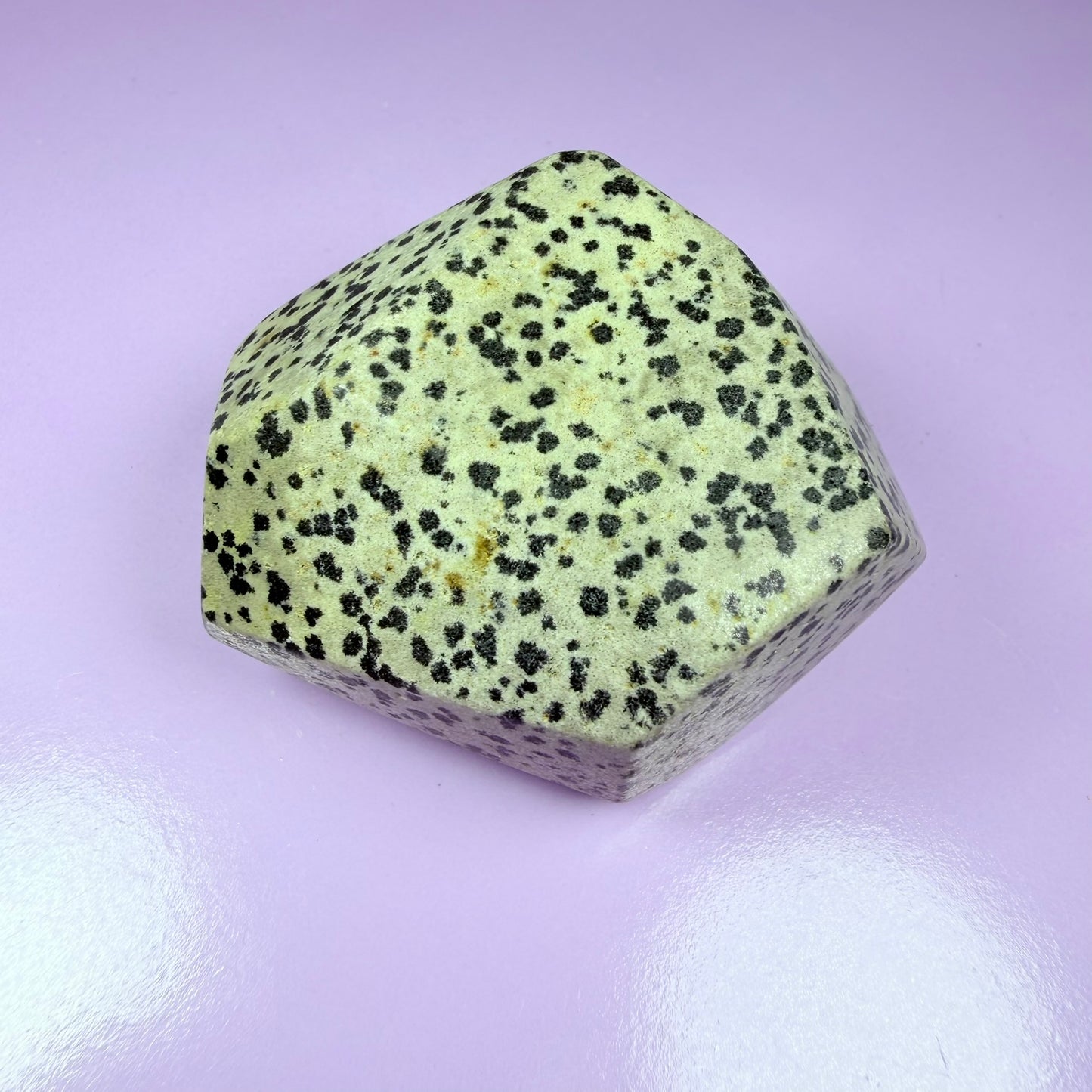 Dalmatian Jasper Medium Freeform