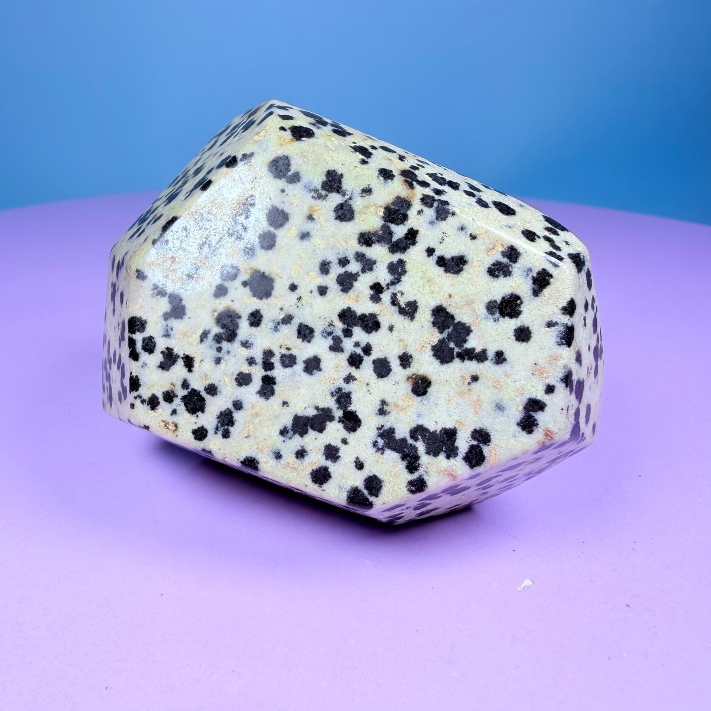Dalmatian Jasper Medium Freeform