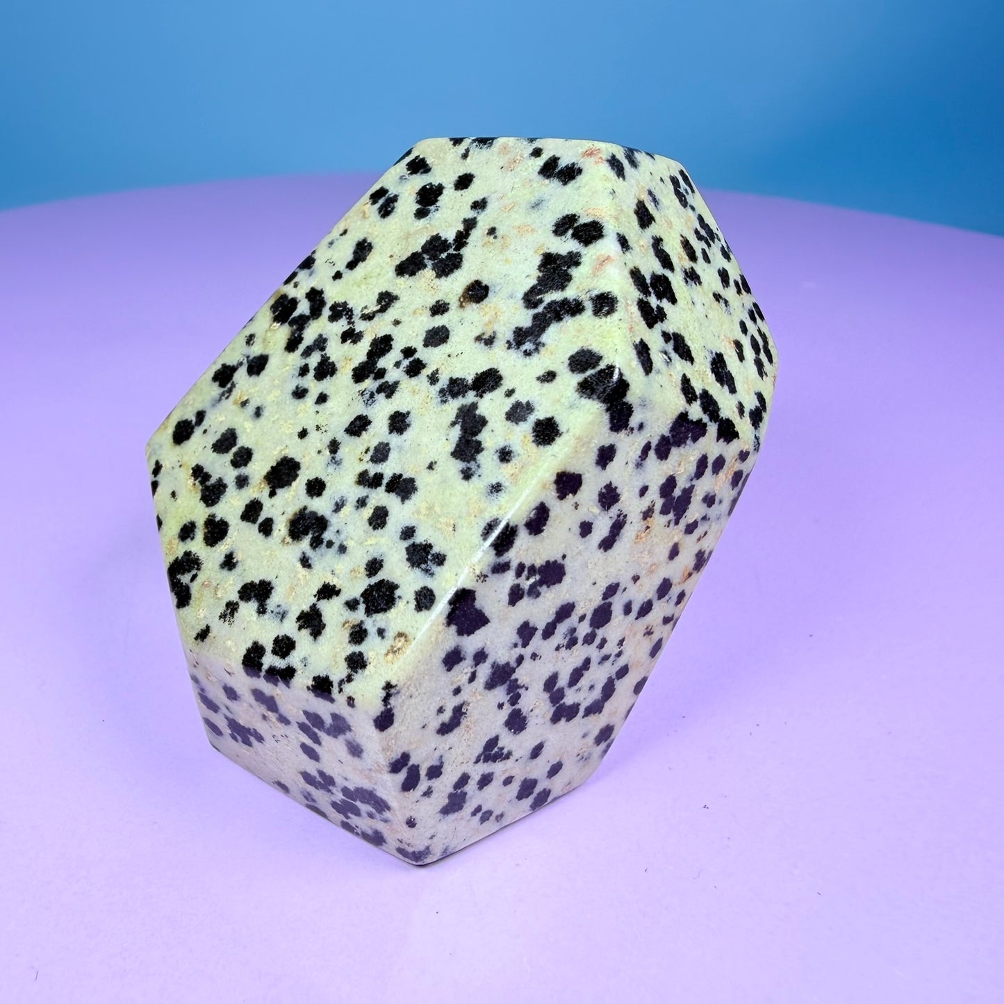 Dalmatian Jasper Medium Freeform