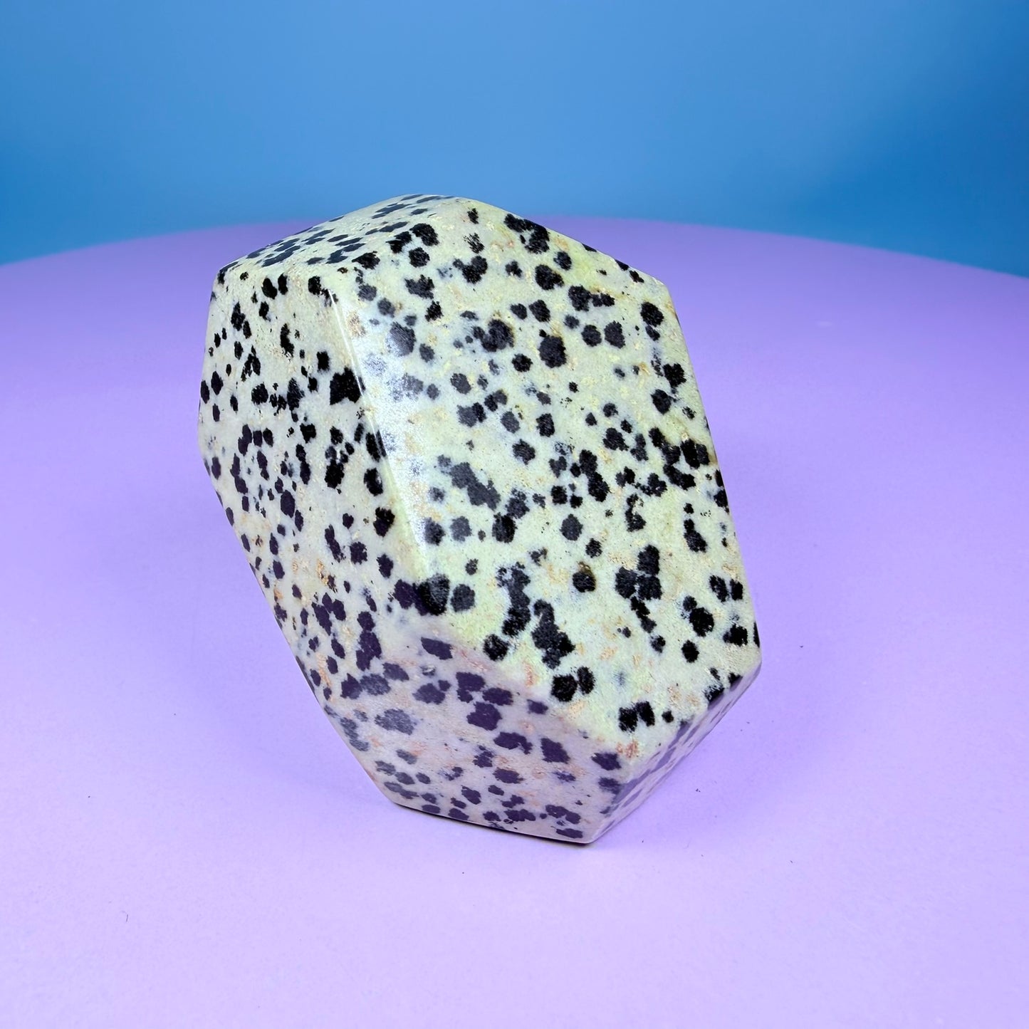 Dalmatian Jasper Medium Freeform