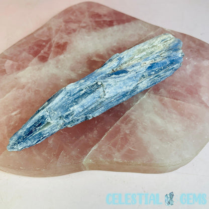 Blue Kyanite Raw Medium Shard/Chunk