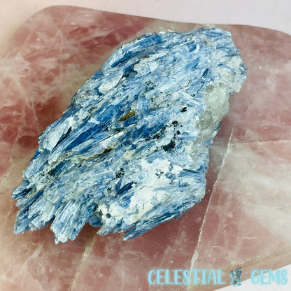 Blue Kyanite Raw Medium Shard/Chunk